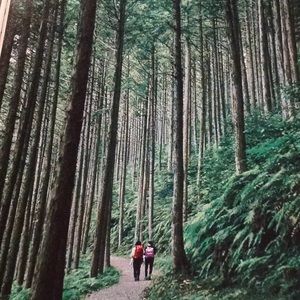 Meet your Posher, Eunjung